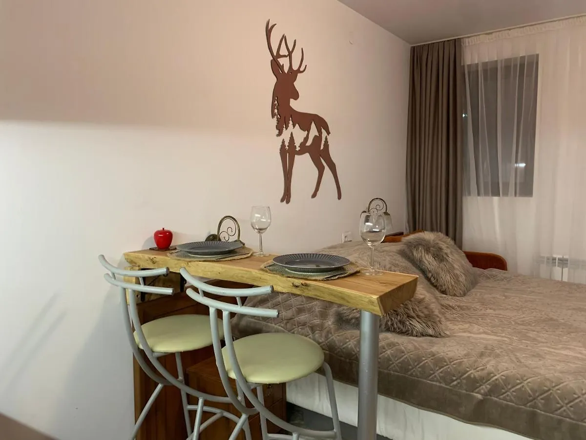 Bansko Ski To Door Studio De Luxe Apartment